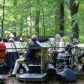 waldfest_2015_002